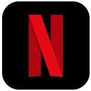 Netflix app icon