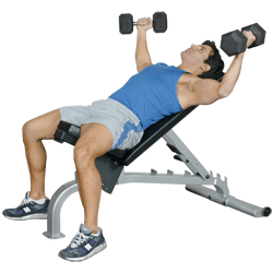 Inflight Fitness FID Bench