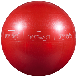 GoFit Professional Grade Stability Ball - 65 cm