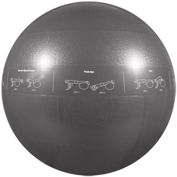 GoFit Professional Grade Stability Ball - 75 cm