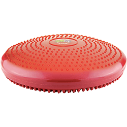 GoFit Core Stability Disk